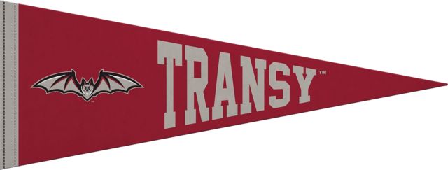 Transylvania University 9X24 Full Color Pennant